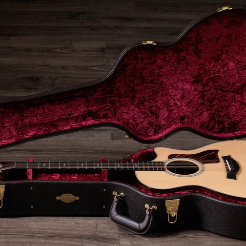 2024年の新アコースティックギター | Taylor Guitars